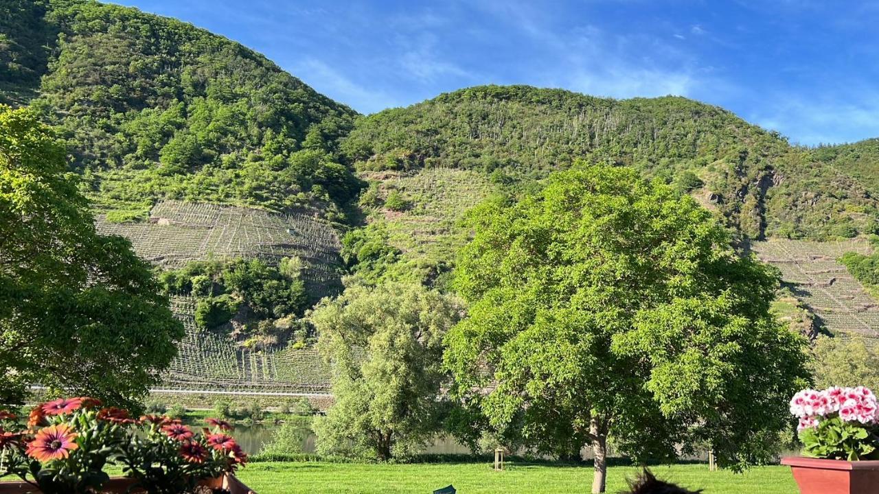 Hotel Zur Winzergenossenschaft Ernst Bagian luar foto